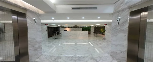 TIPLO TOUR 7th FIoor